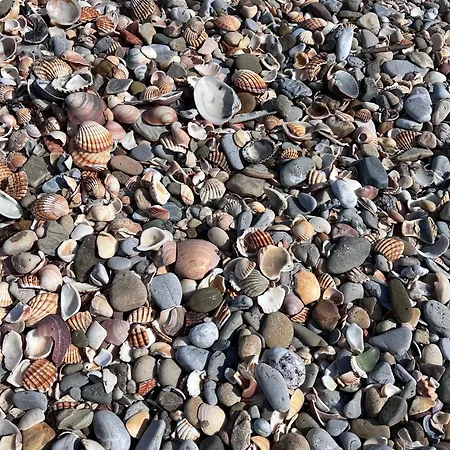 Isla Mechelinki アパート