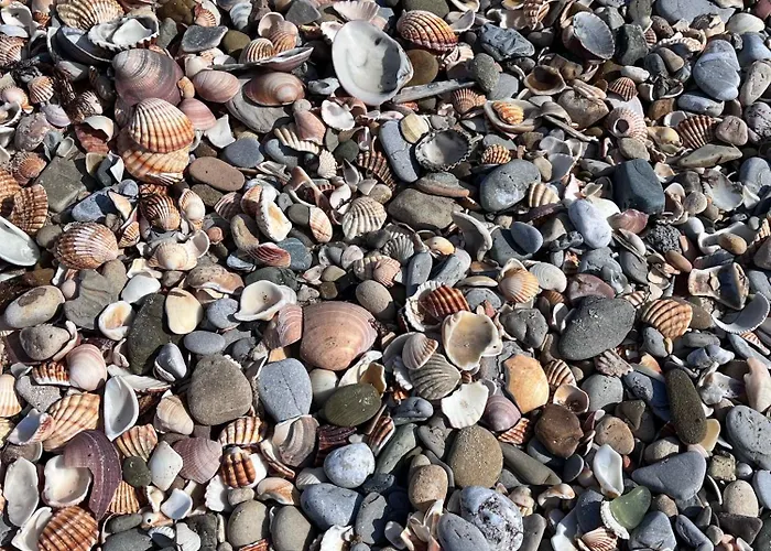 Isla Mechelinki 公寓