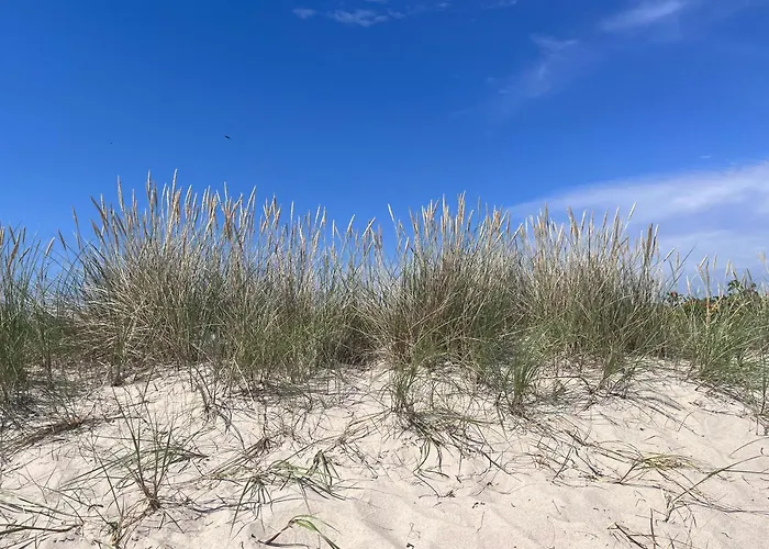 公寓 Isla Mechelinki Pierwoszyno