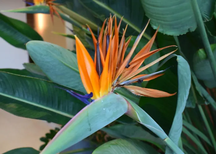 Isla Mechelinki * Pierwoszyno